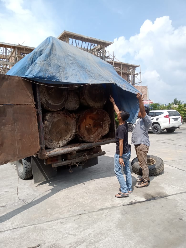 Polsek Kampar Kiri Tangkap Mobil Bermuatan Kayu Ilegalloging di Desa Lipat Kain